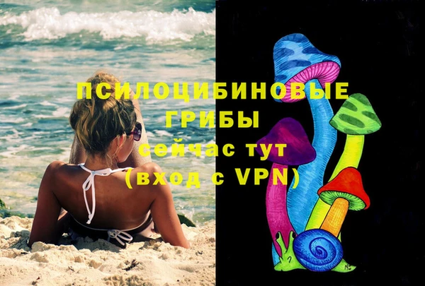 твердый Костерёво