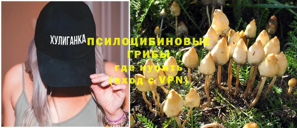эйфоретик Коряжма