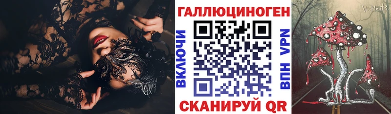 Псилоцибиновые грибы Cubensis  Черкесск 