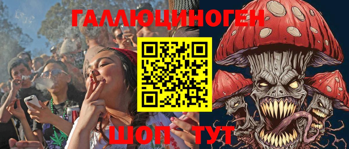 Псилоцибиновые грибы Psilocybe  Галлюциногенные грибы GOLDEN TEACHER  Черкесск  Вход с VPN 