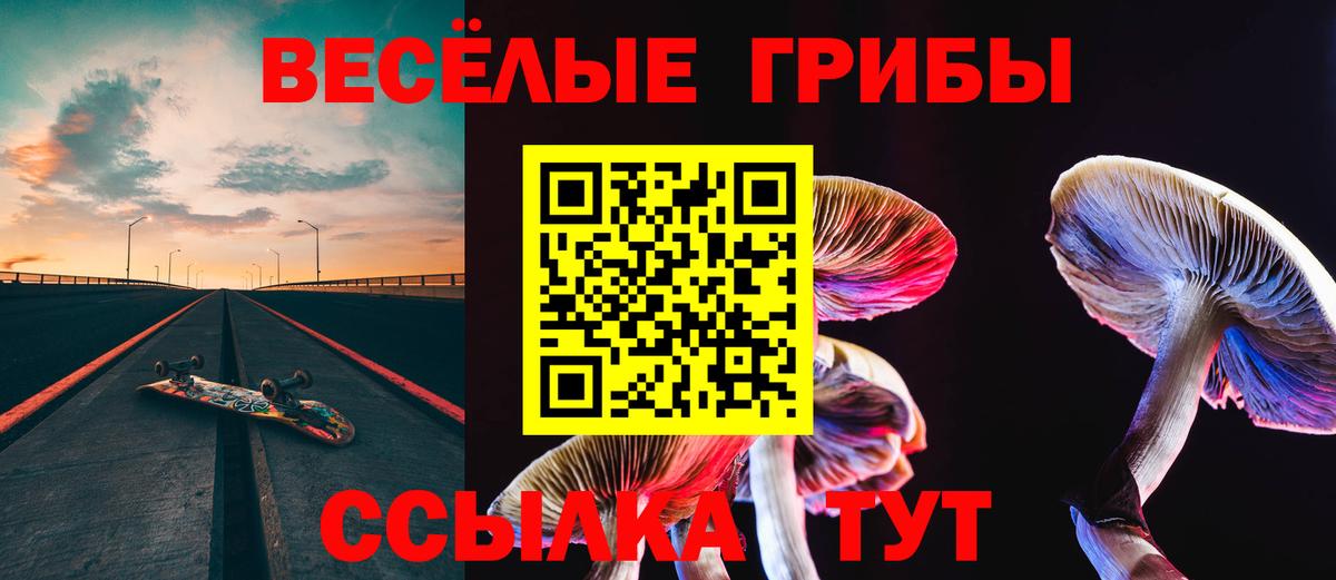 Галлюциногенные грибы прущие грибы Черкесск